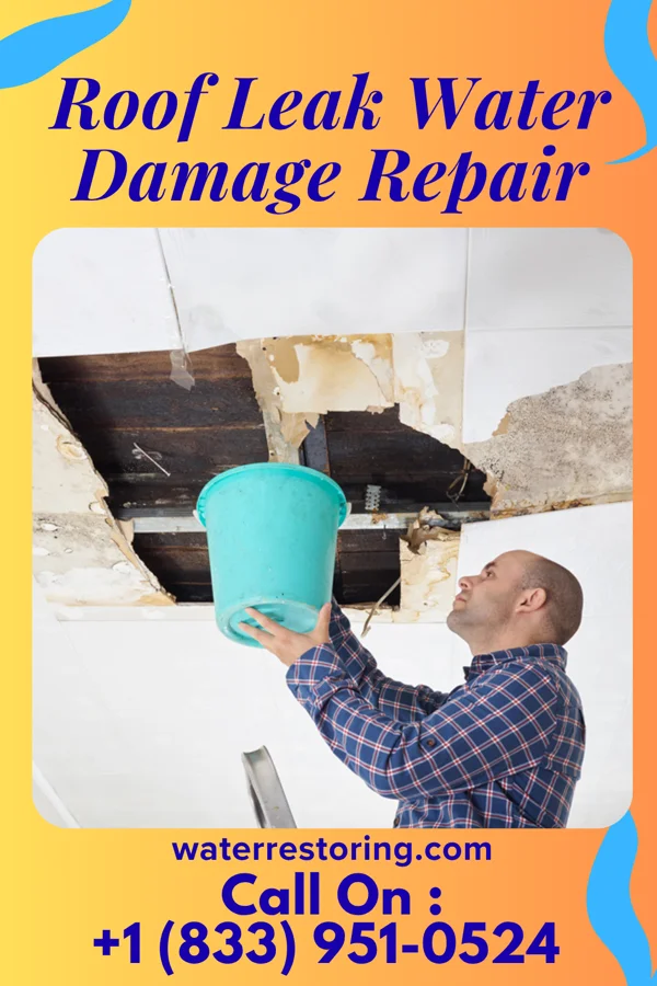 Roof Leak Water Damage Repair in Jefferson, GA